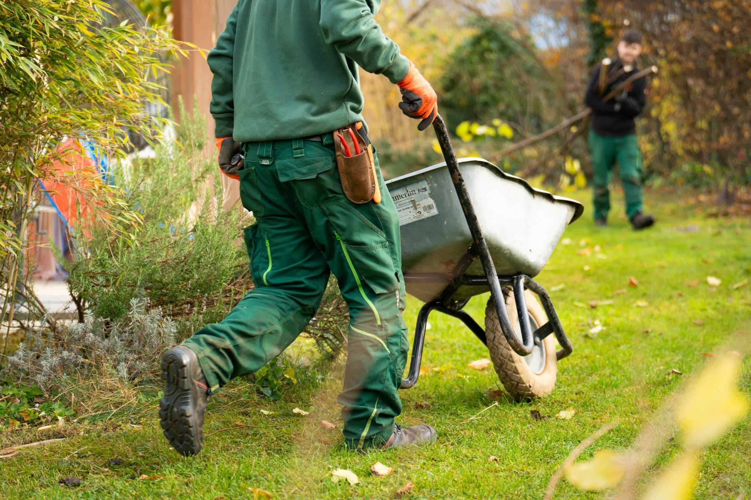 A landscaper pushing a wheelbarrow across a lawn